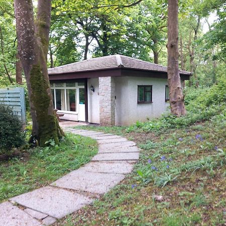 Villa Woodland Retreat Uny Lelant Exterior foto