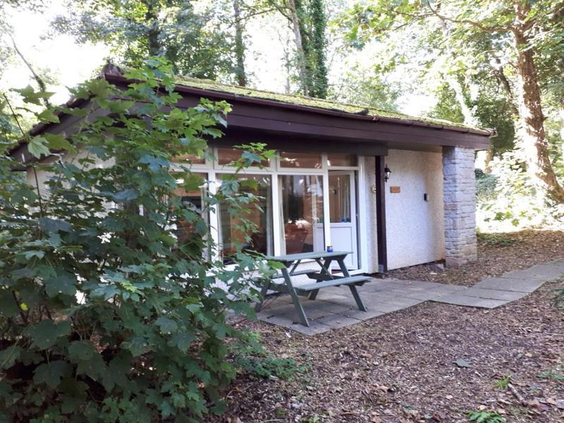 Villa Woodland Retreat Uny Lelant Exterior foto