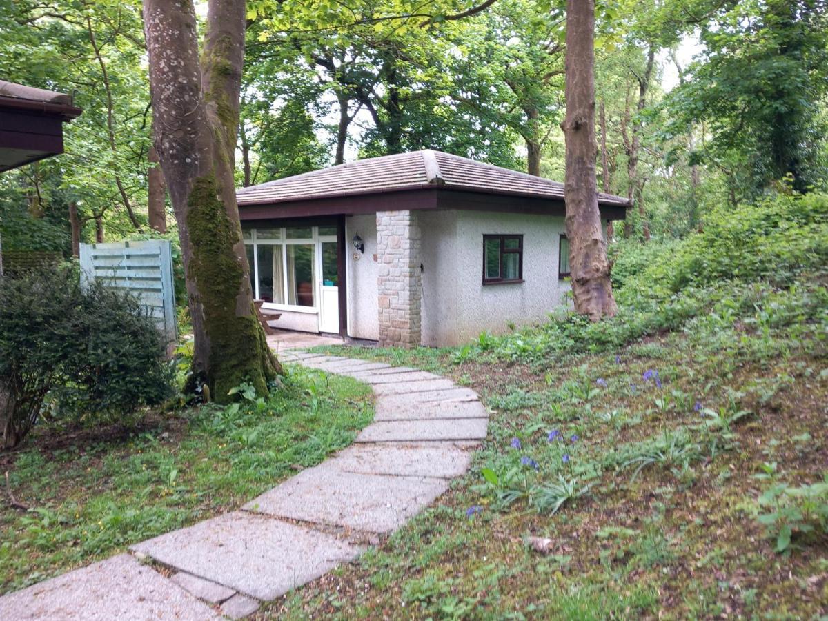 Villa Woodland Retreat Uny Lelant Exterior foto